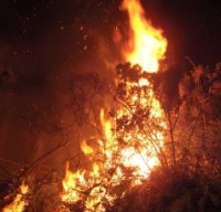 Os tres lumes calcinaron máis de unha hectárea e media