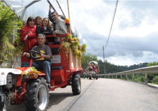 A organización cre que "o chimpín é optativo"