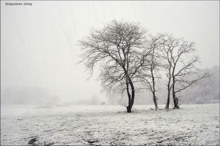 Nevando en Lugo, na mañá desta sexta feira / Flickr: joe_aesmorga