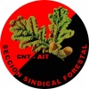 SS_Forestal_CNT-AIT